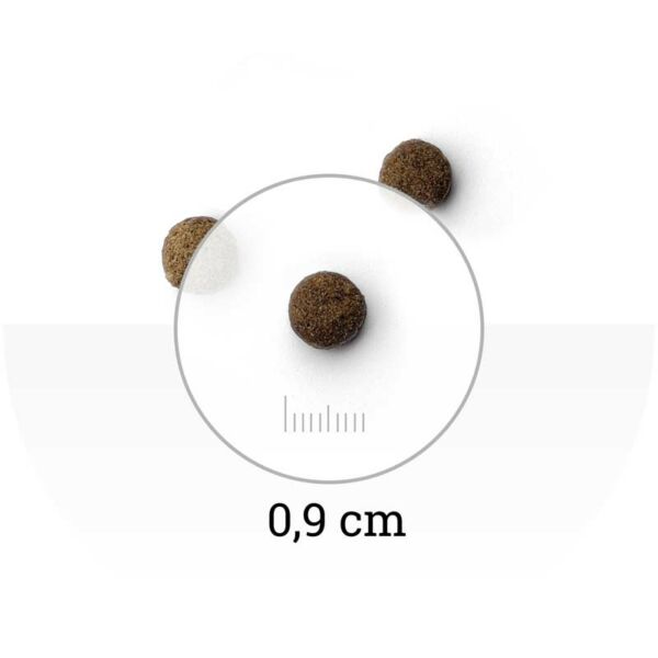 NATURA WILD - Niagara Falls - croquette