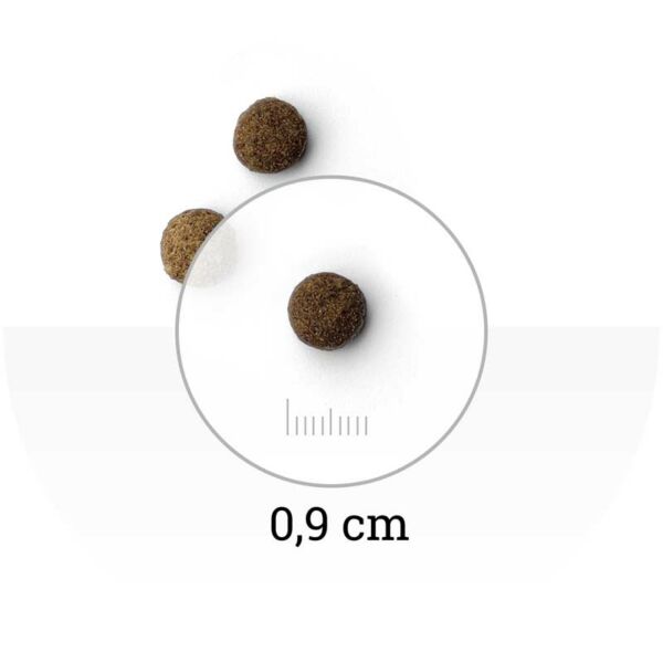 NATURA WILD - Rocky Plain - croquette