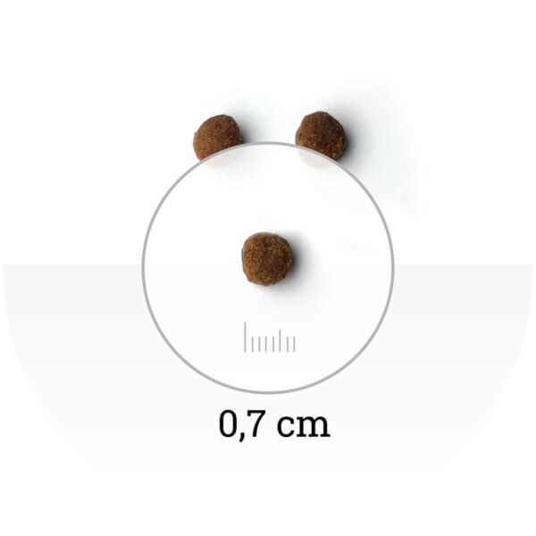 NATURA WILD - Small Ridge - croquette